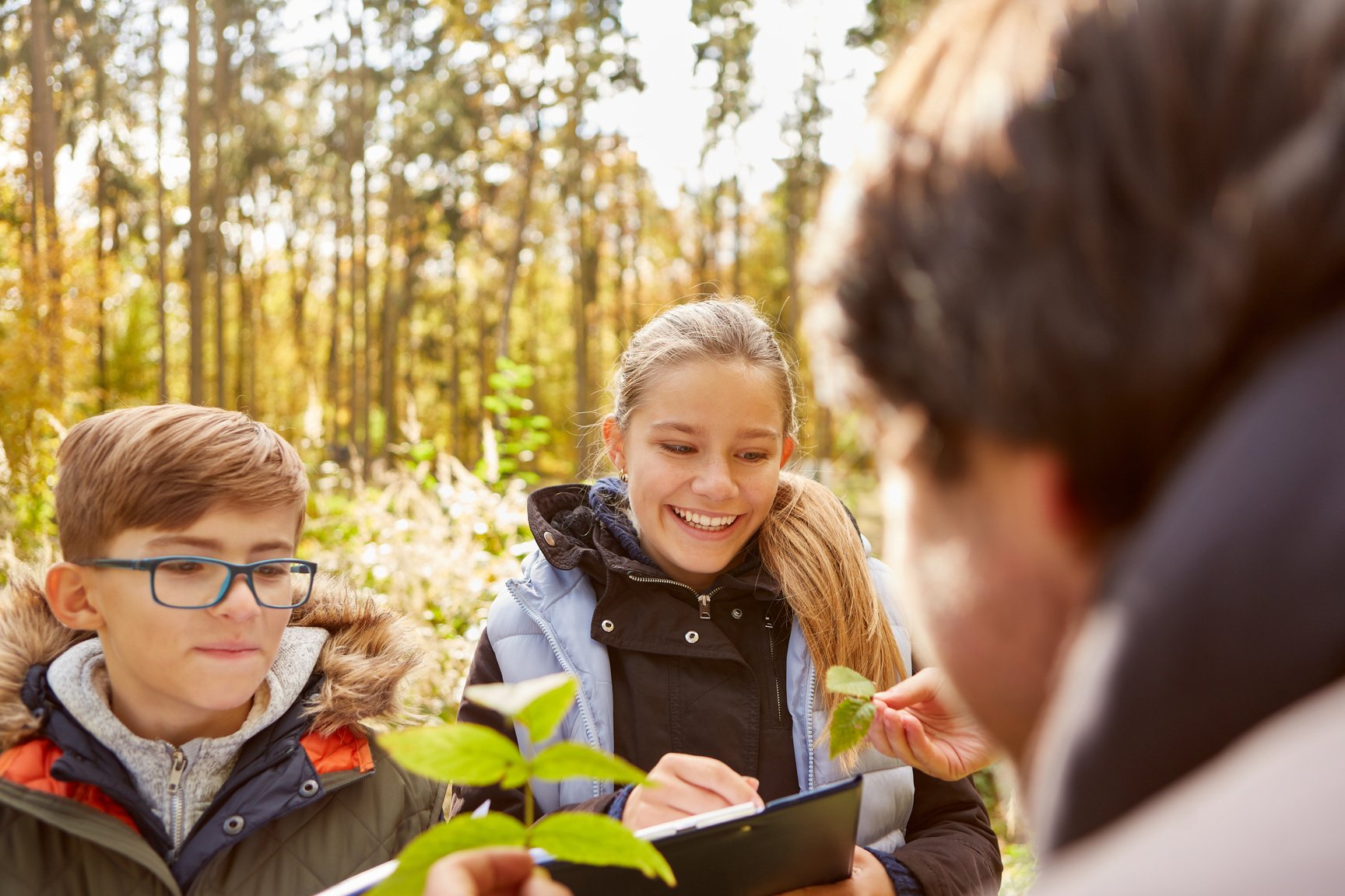 Children Learn from the Forester in Arboriculture Lessons