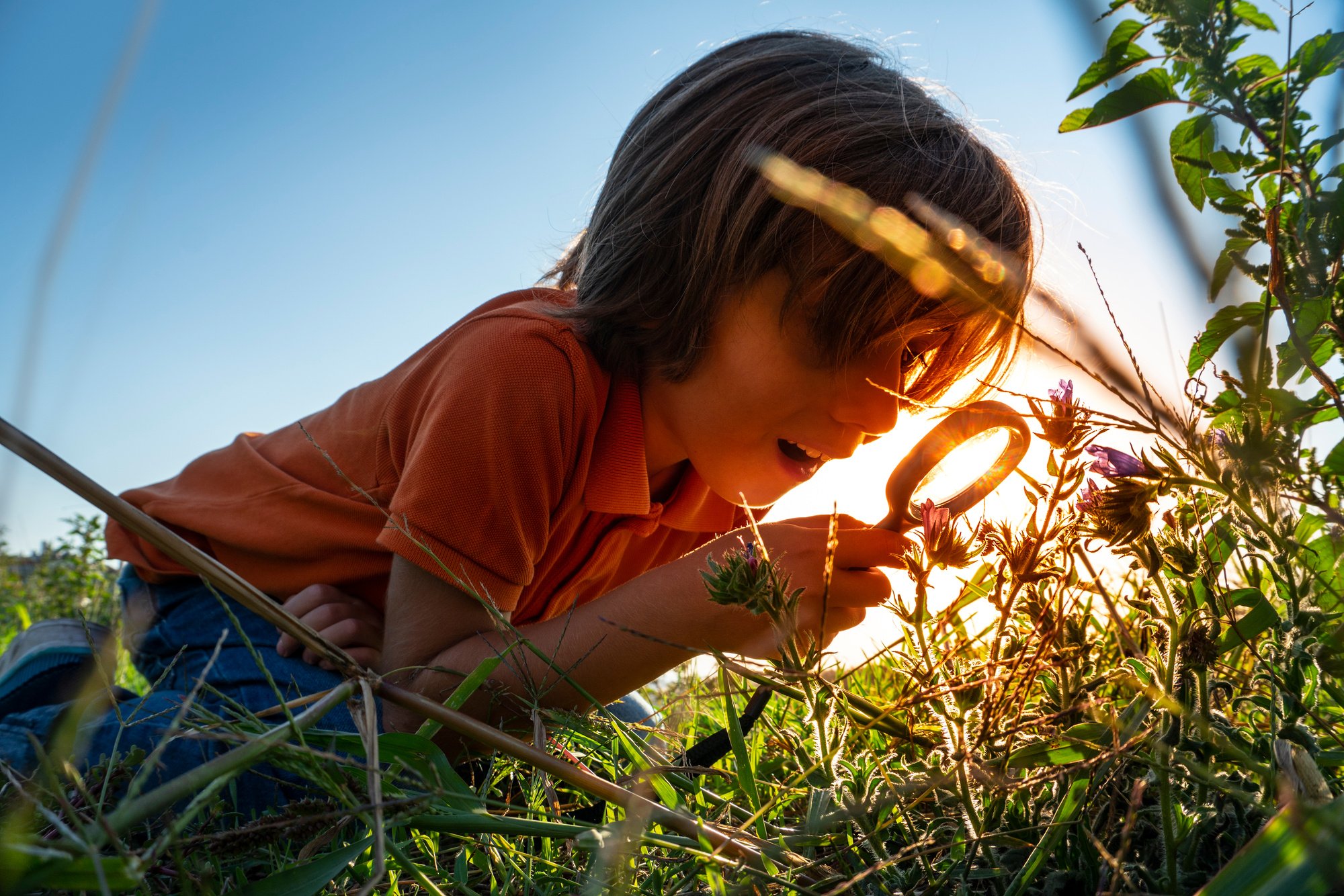 Child doing research in nature.