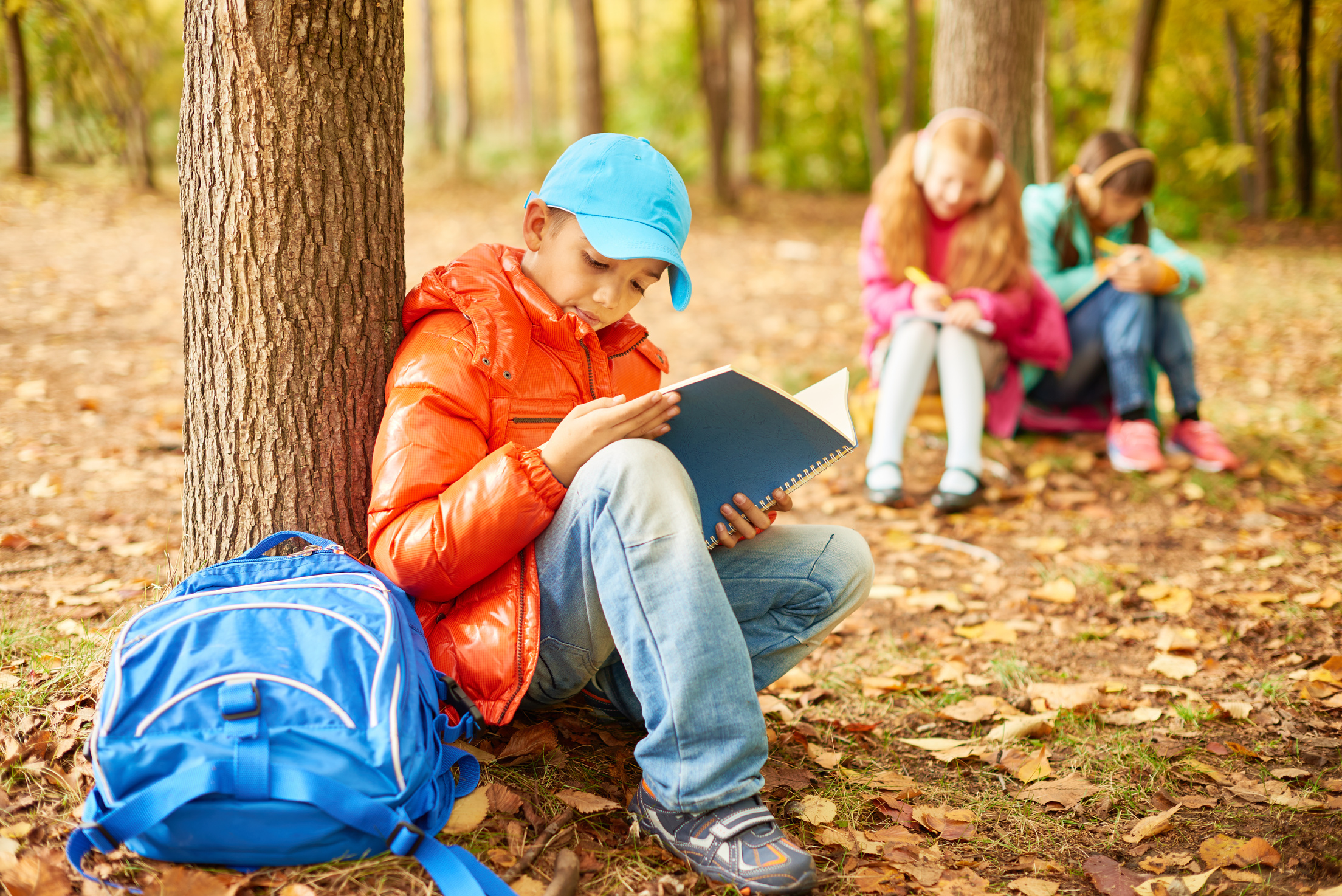 Children in forest